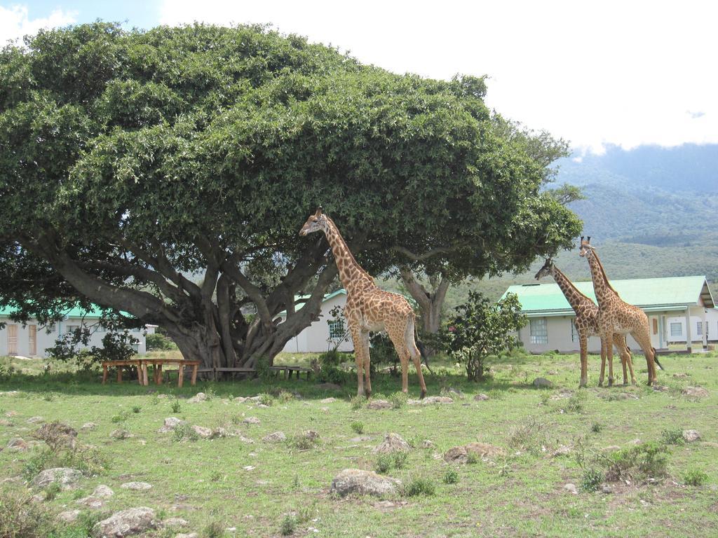 Nature Homes - Africa Amini Life Nkoanrua Extérieur photo